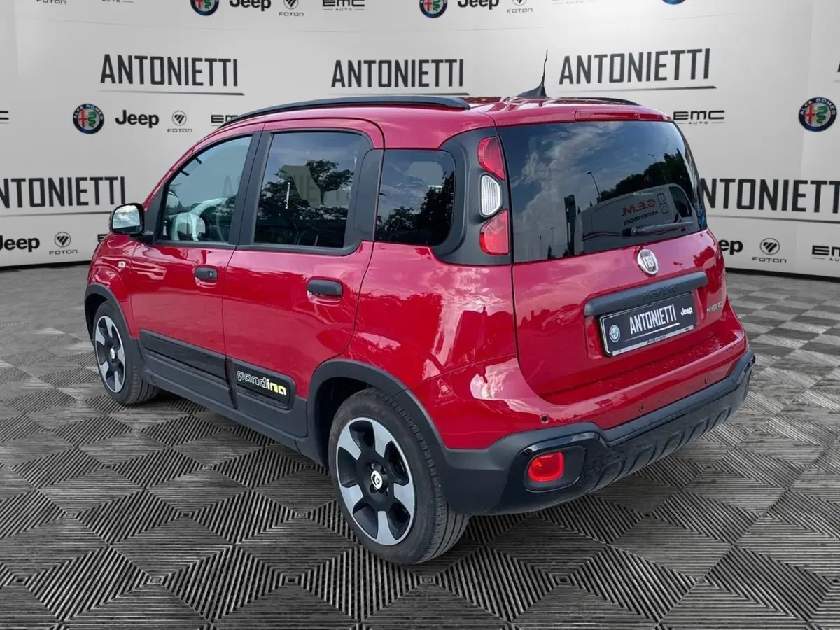 Fiat Panda Cross usata a Ancona (7)