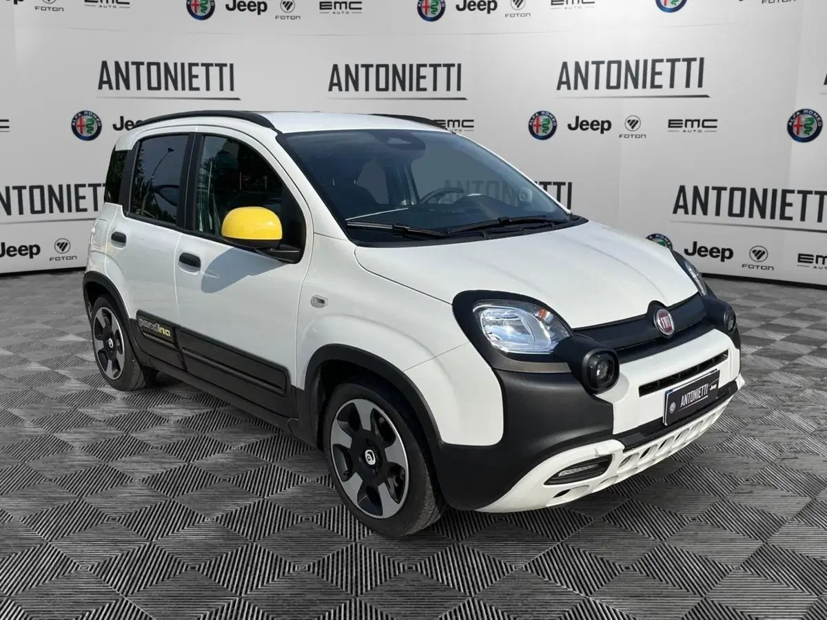 Fiat Panda Cross usata a Ancona (3)