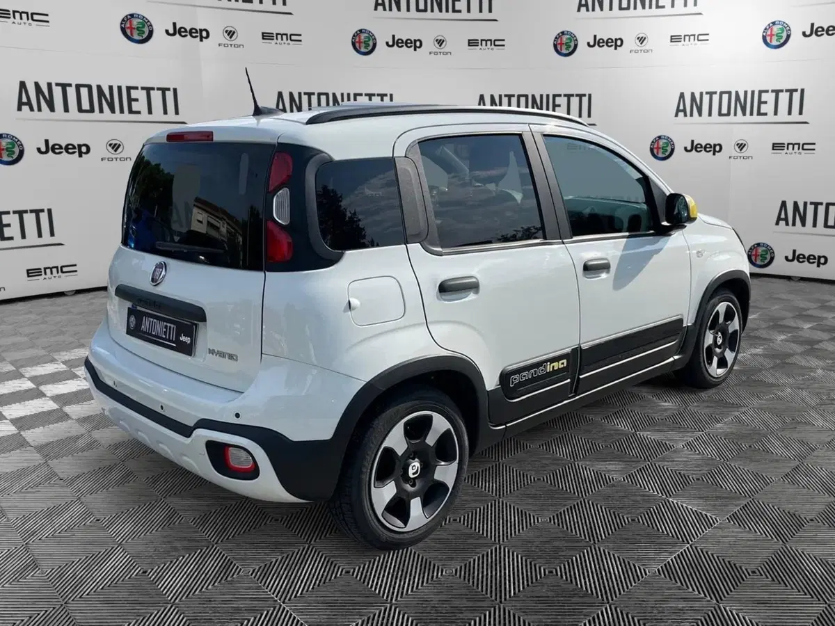 Fiat Panda Cross usata a Ancona (5)