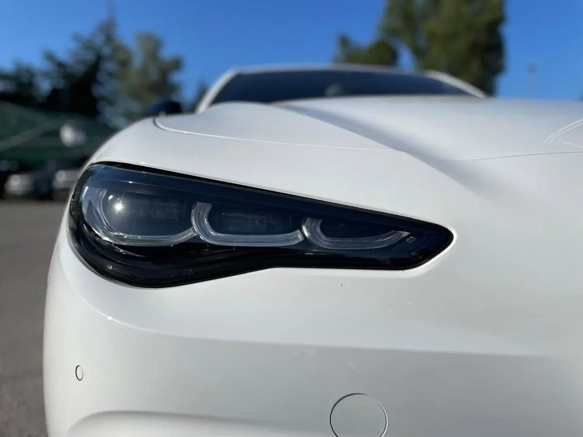 Alfa Romeo Giulia nuova a Ancona (17)