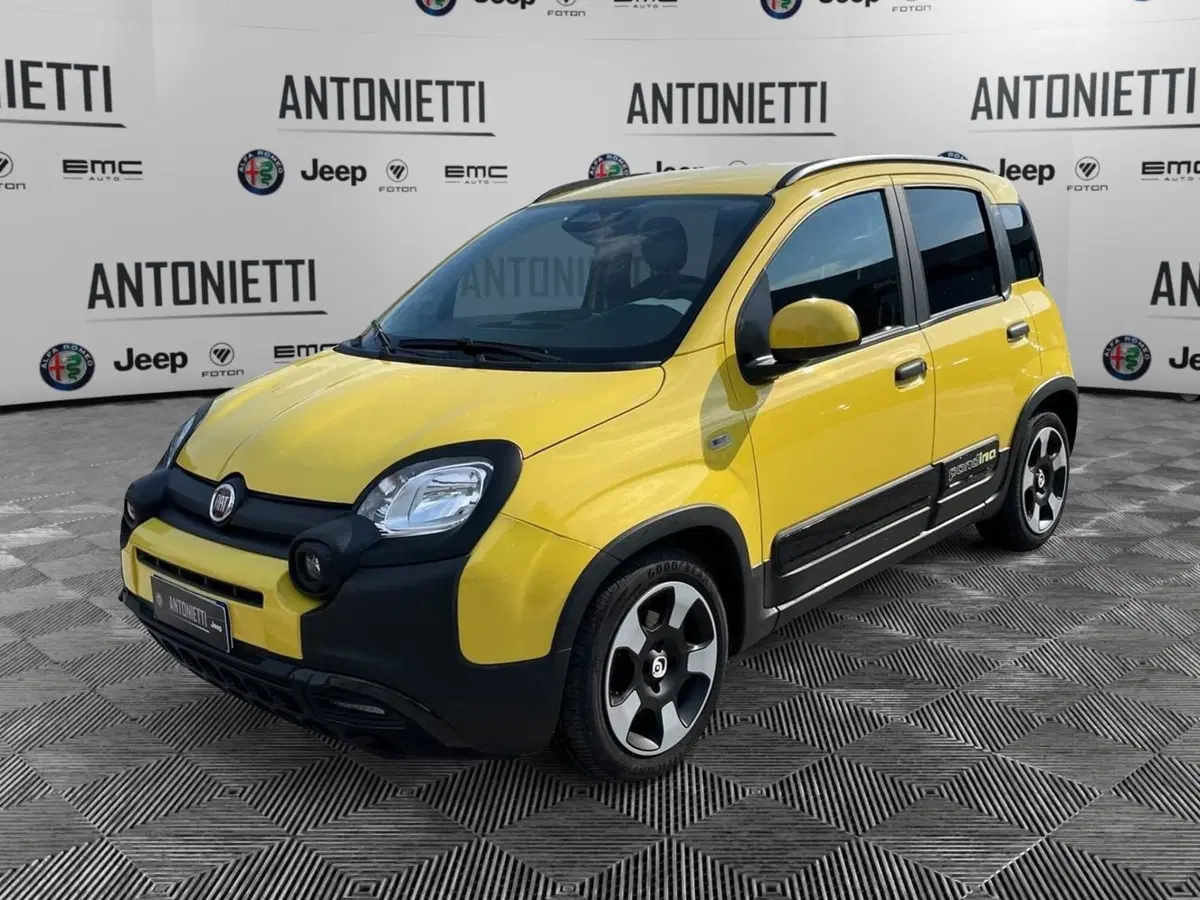 Fiat Panda Cross usata a Ancona