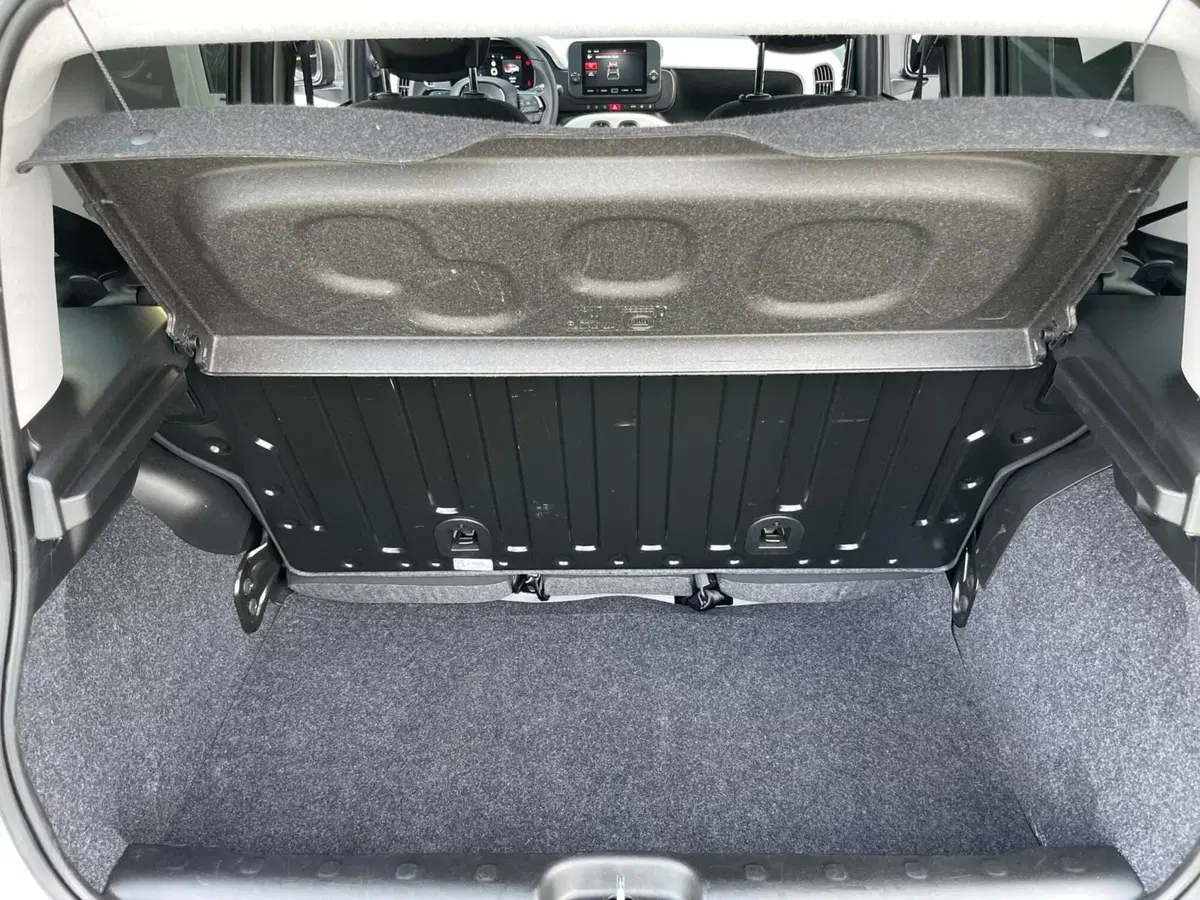 Fiat Panda Cross usata a Ancona (19)
