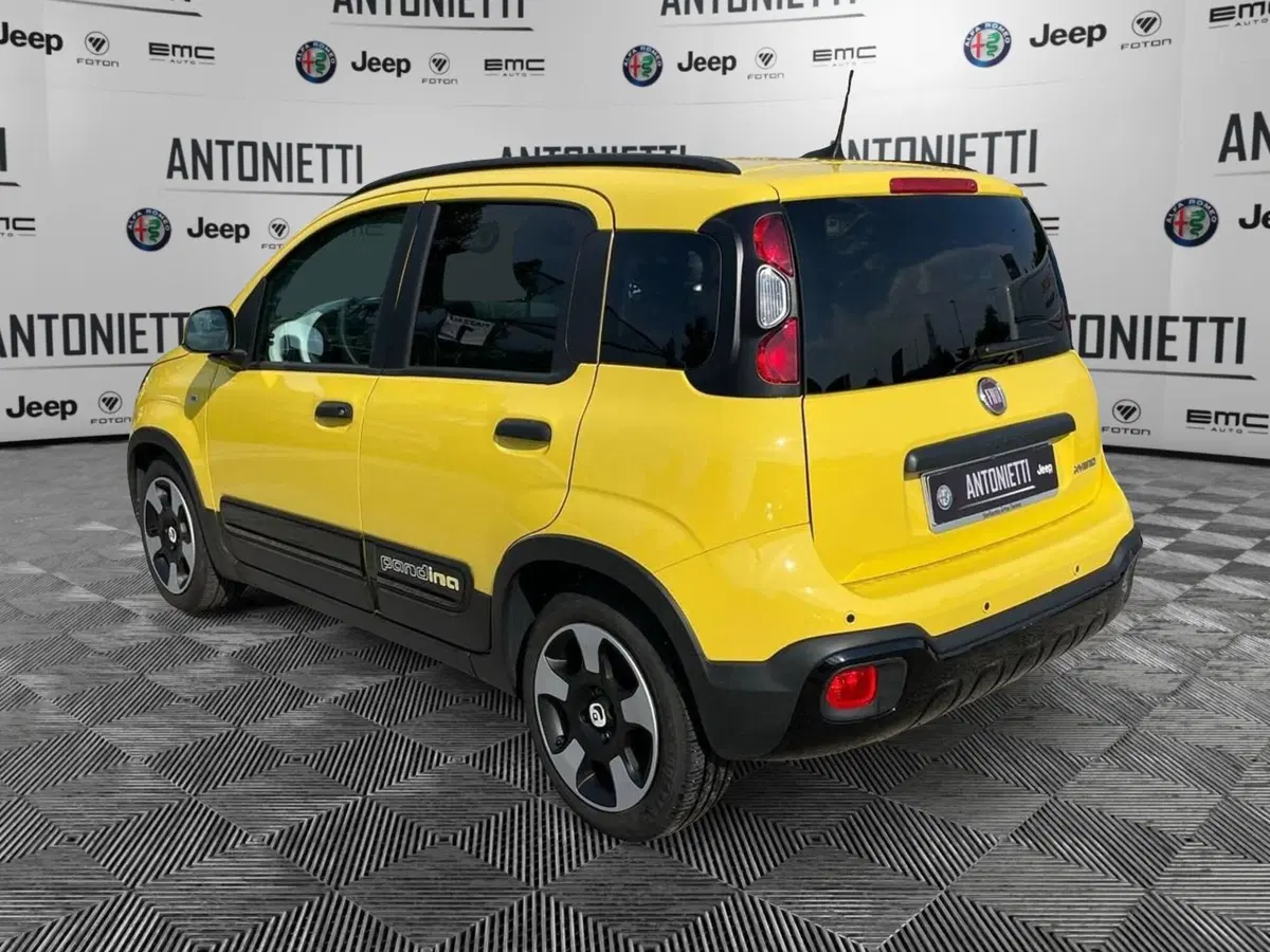Fiat Panda Cross usata a Ancona (7)