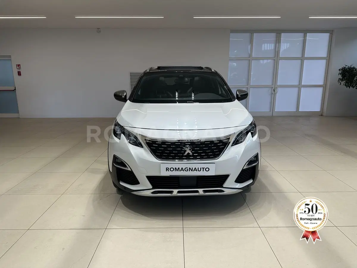Peugeot 3008 usata a Forlì-Cesena (2)