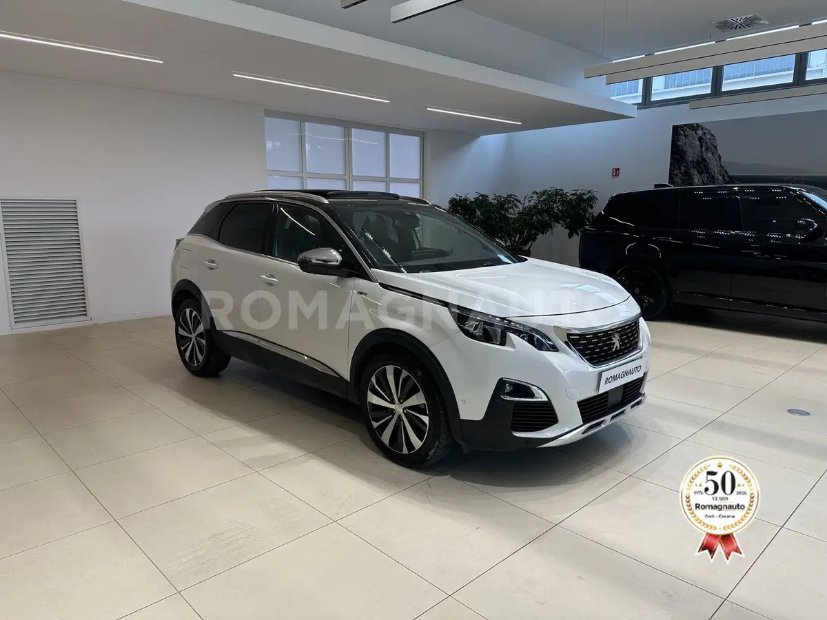 Peugeot 3008 usata a Forlì-Cesena (3)