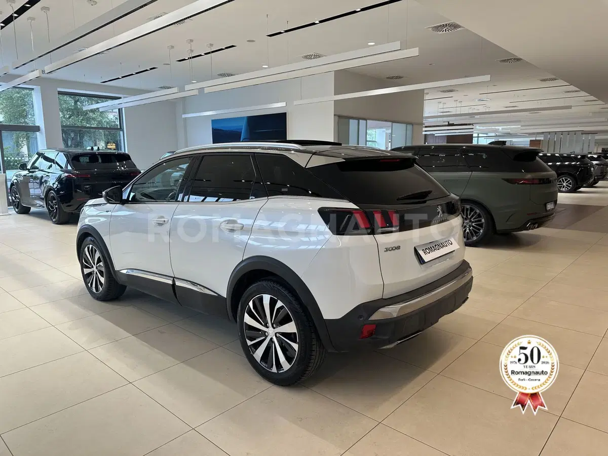 Peugeot 3008 usata a Forlì-Cesena (7)