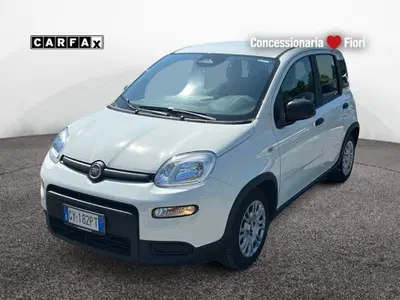 Fiat Pandina 1.0 firefly hybrid s&amp;s 70cv del 2025 usata a Latina