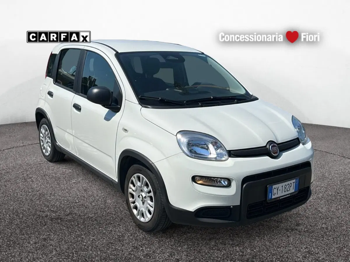 Fiat Pandina usata a Latina (2)