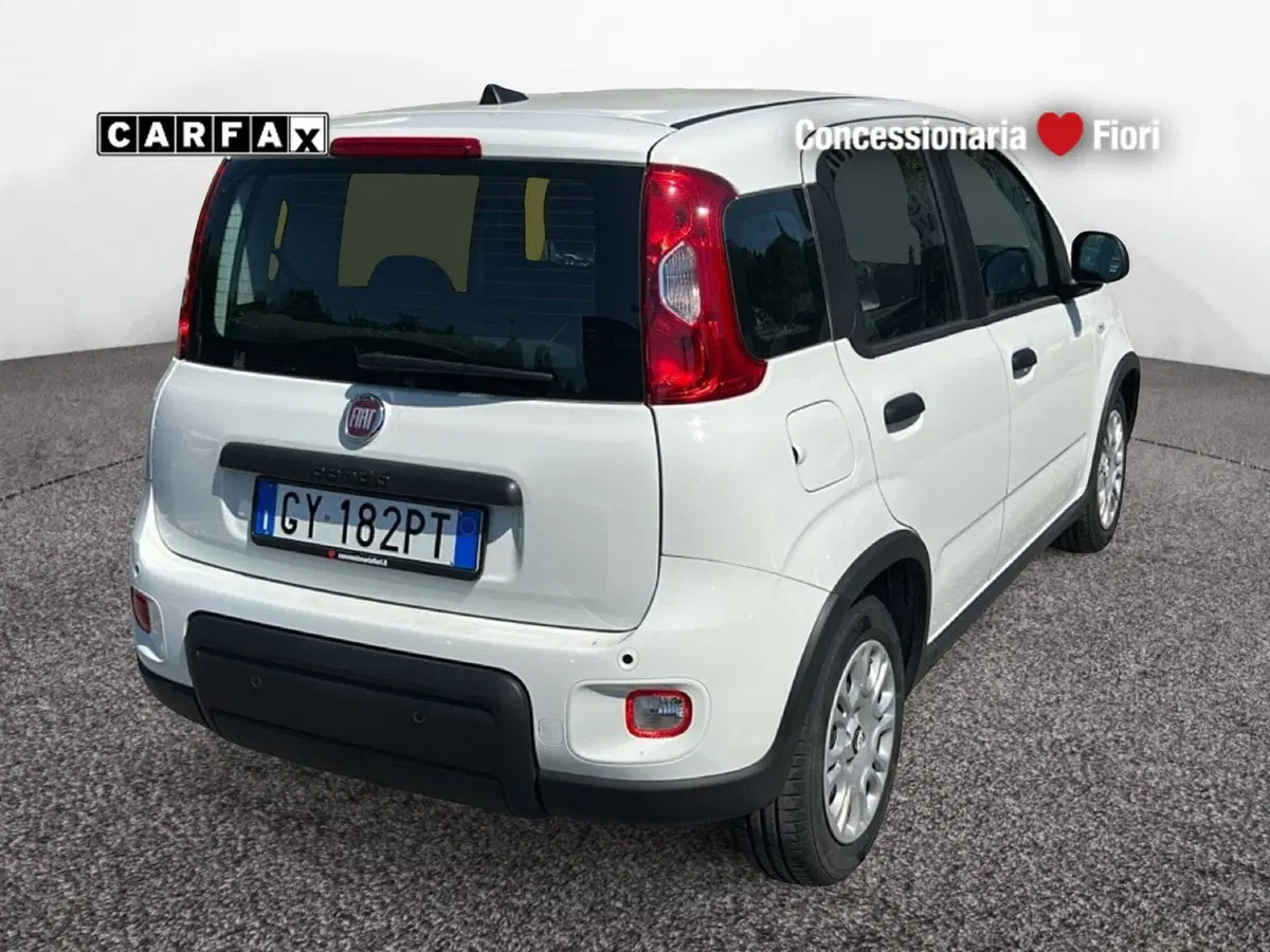 Fiat Pandina usata a Latina (3)