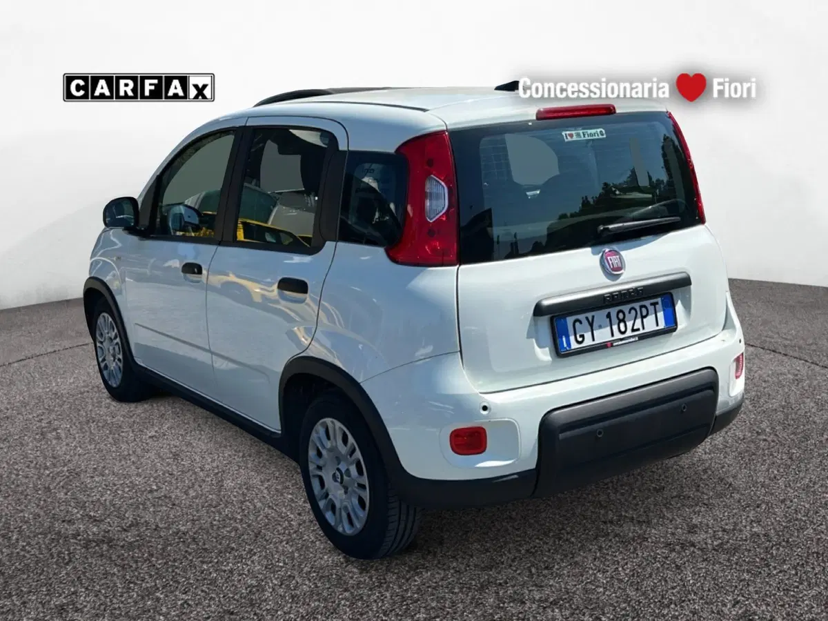 Fiat Pandina usata a Latina (4)