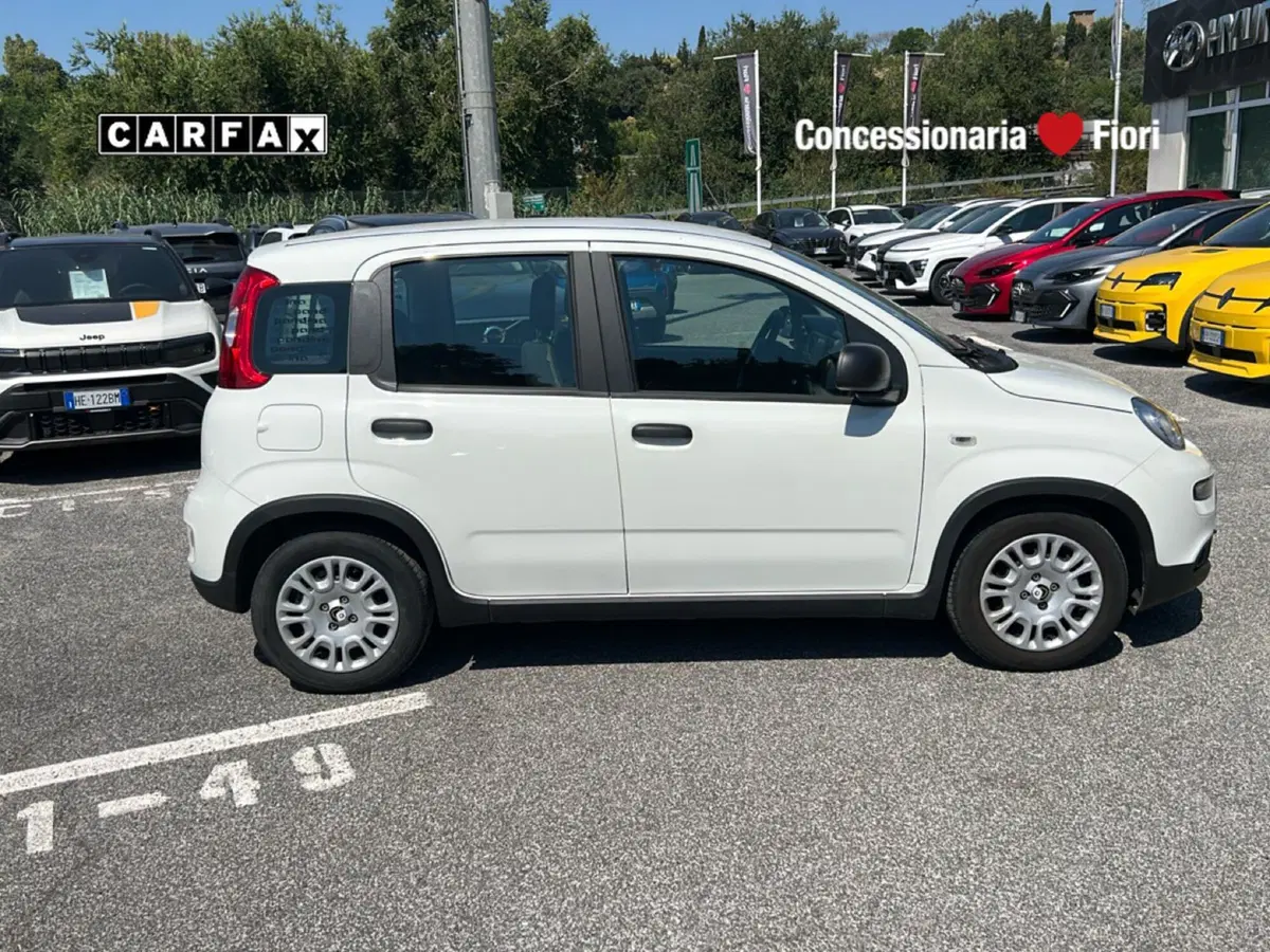 Fiat Pandina usata a Latina (6)