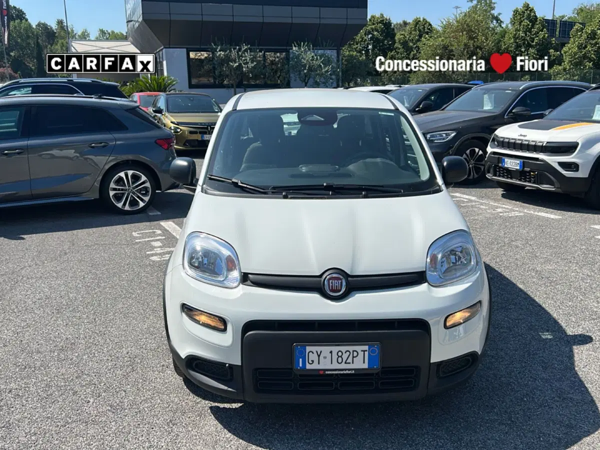 Fiat Pandina usata a Latina (7)
