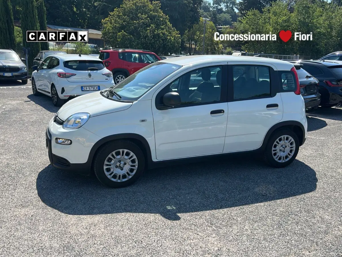 Fiat Pandina usata a Latina (8)