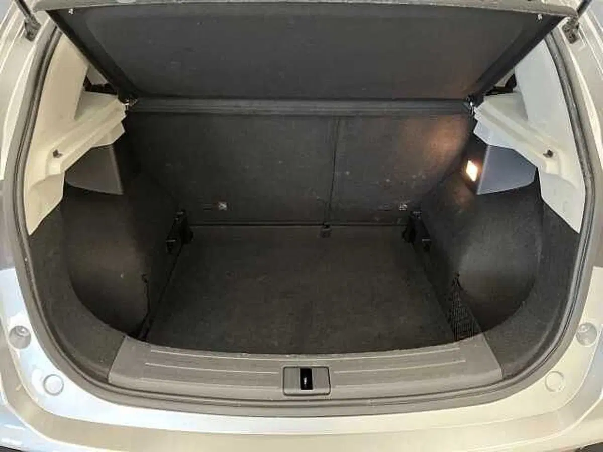 Mg ZS usata a Bergamo (15)