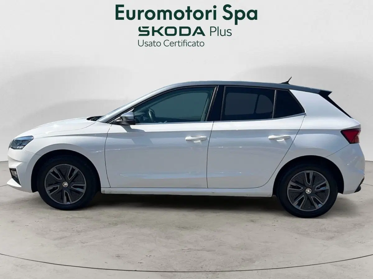 Skoda Fabia usata a Grosseto (2)