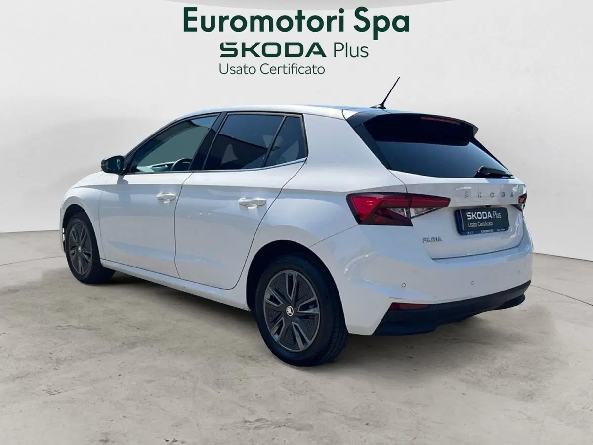 Skoda Fabia usata a Grosseto (3)
