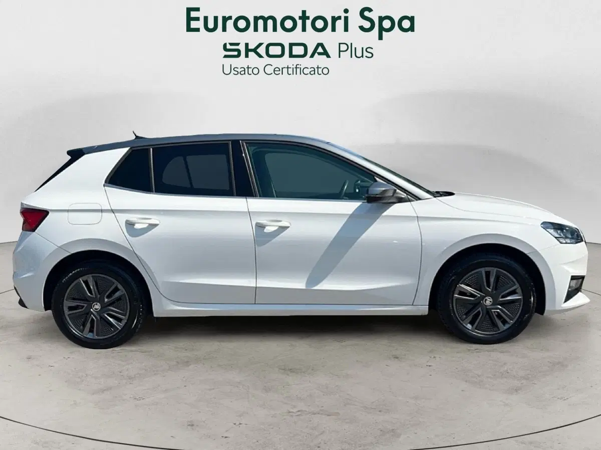 Skoda Fabia usata a Grosseto (6)