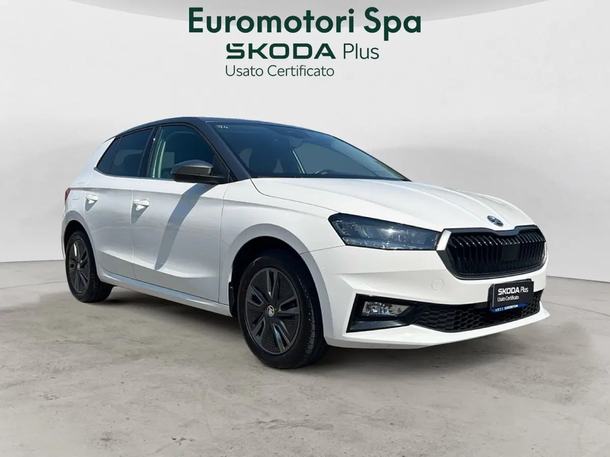Skoda Fabia usata a Grosseto (7)