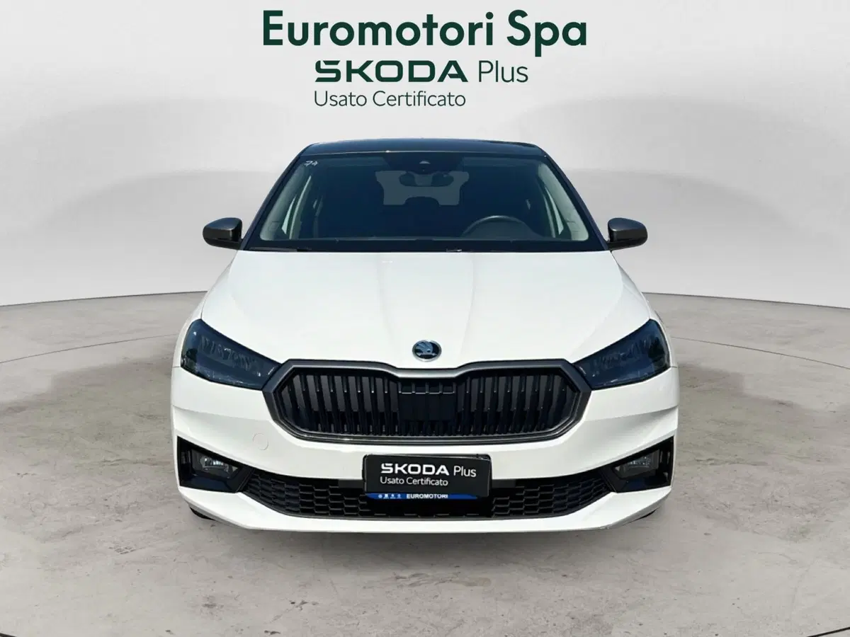 Skoda Fabia usata a Grosseto (8)