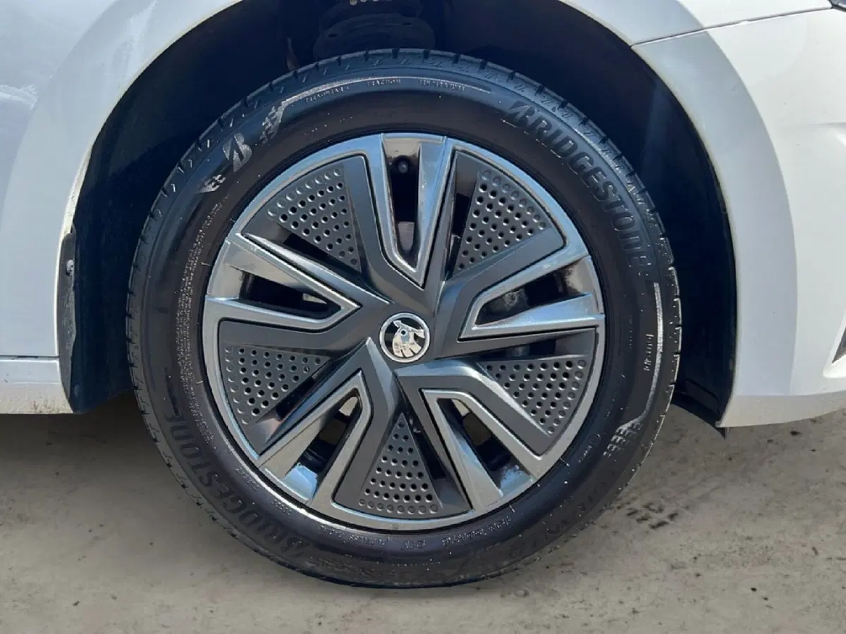Skoda Fabia usata a Grosseto (9)