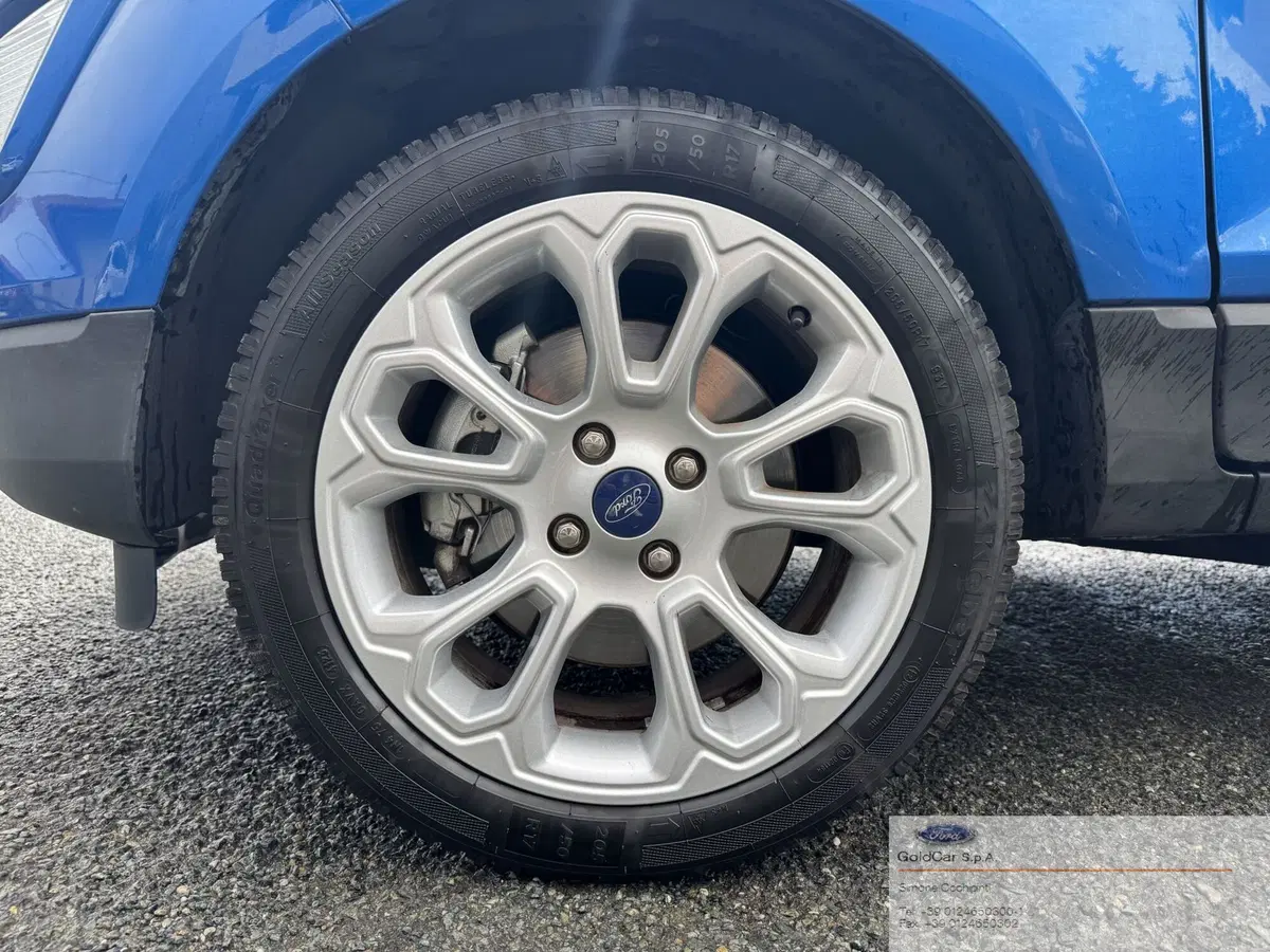 Ford EcoSport usata a Torino (7)