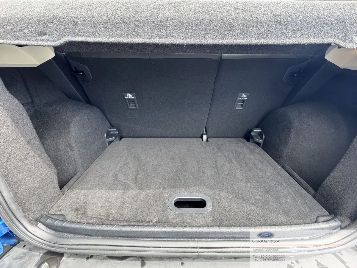 Ford EcoSport usata a Torino (8)