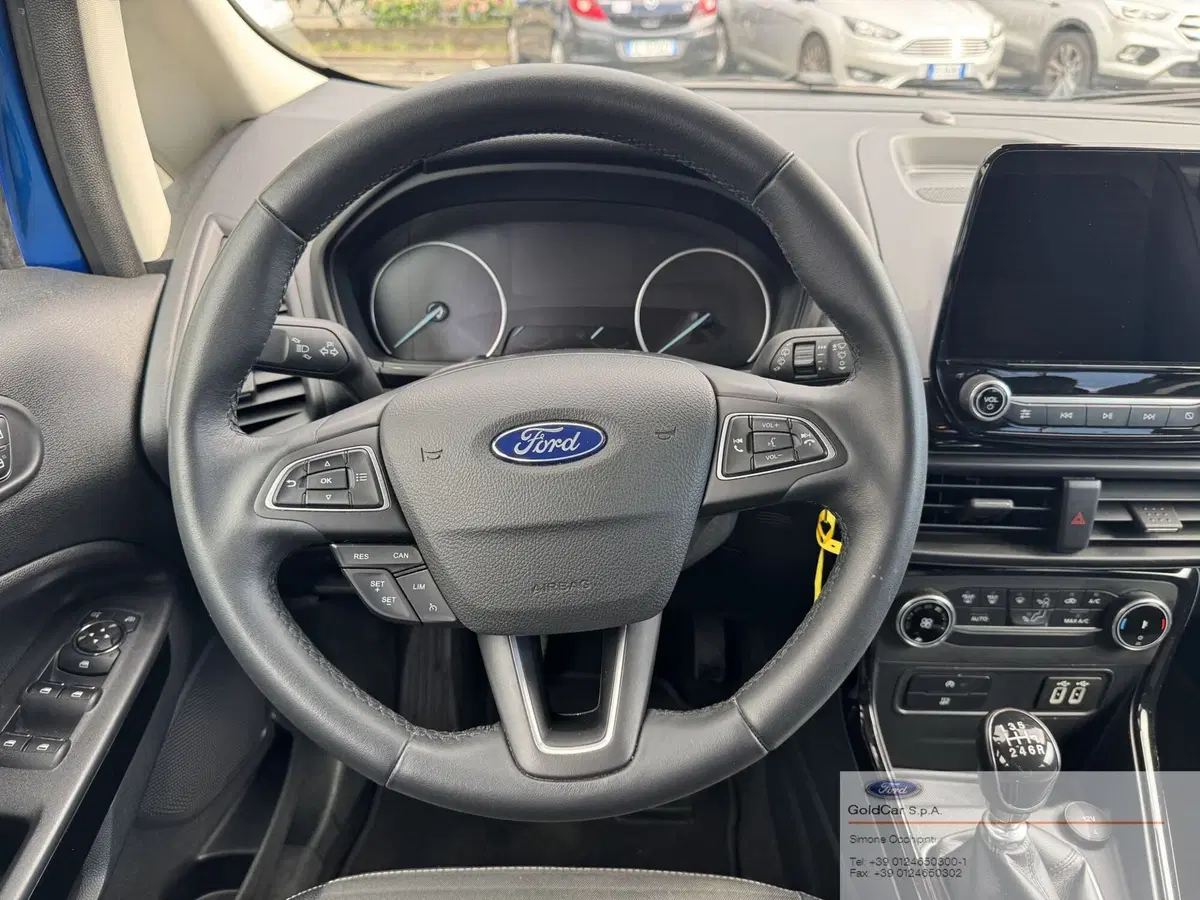 Ford EcoSport usata a Torino (9)