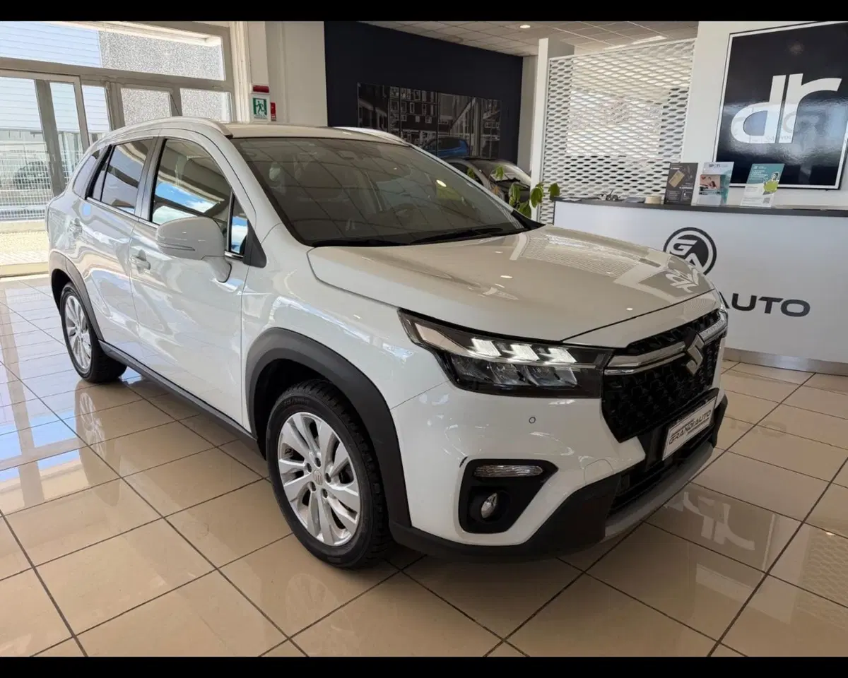 Suzuki S-Cross usata a Alessandria (7)