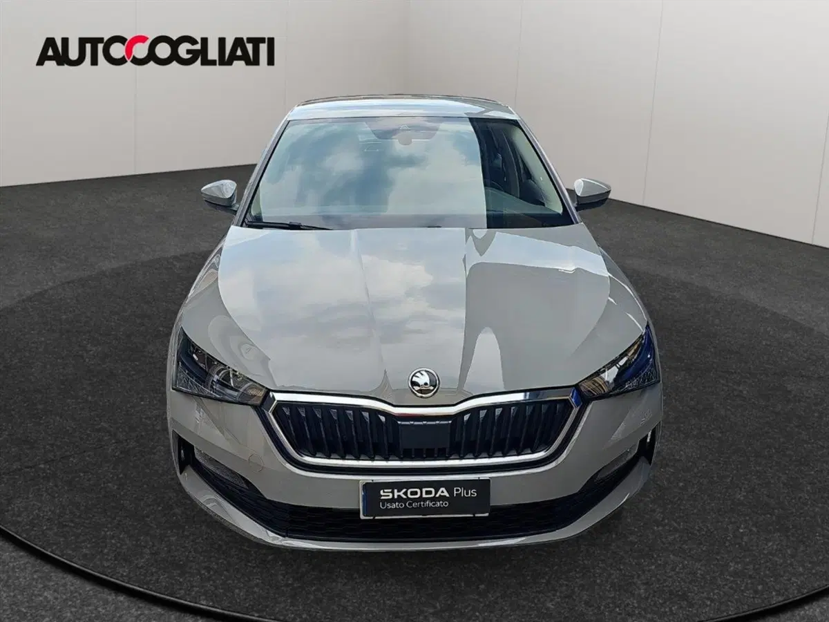 Skoda Scala usata a Lecco (2)