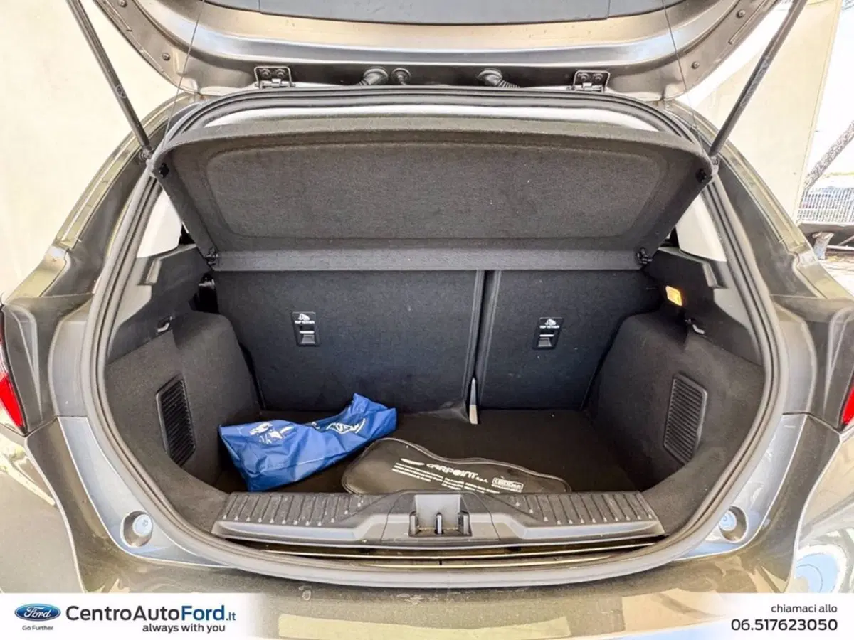 Ford Fiesta usata a Roma (11)