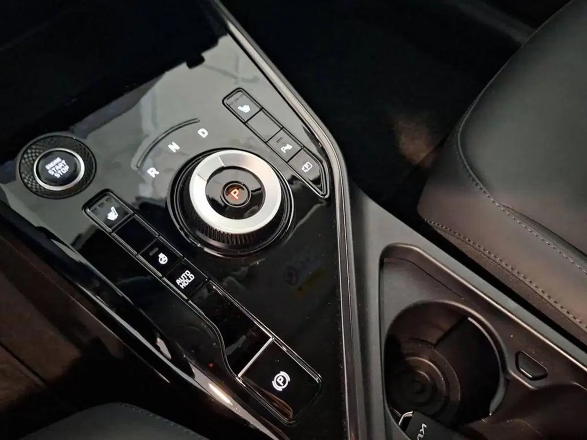 Kia Niro usata a Torino (10)