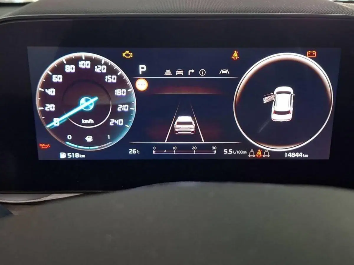 Kia Niro usata a Torino (8)