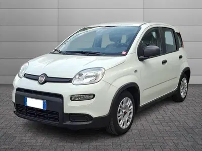 Fiat Panda Cross Cross 1.0 FireFly S&amp;S Hybrid del 2022 usata a Torino