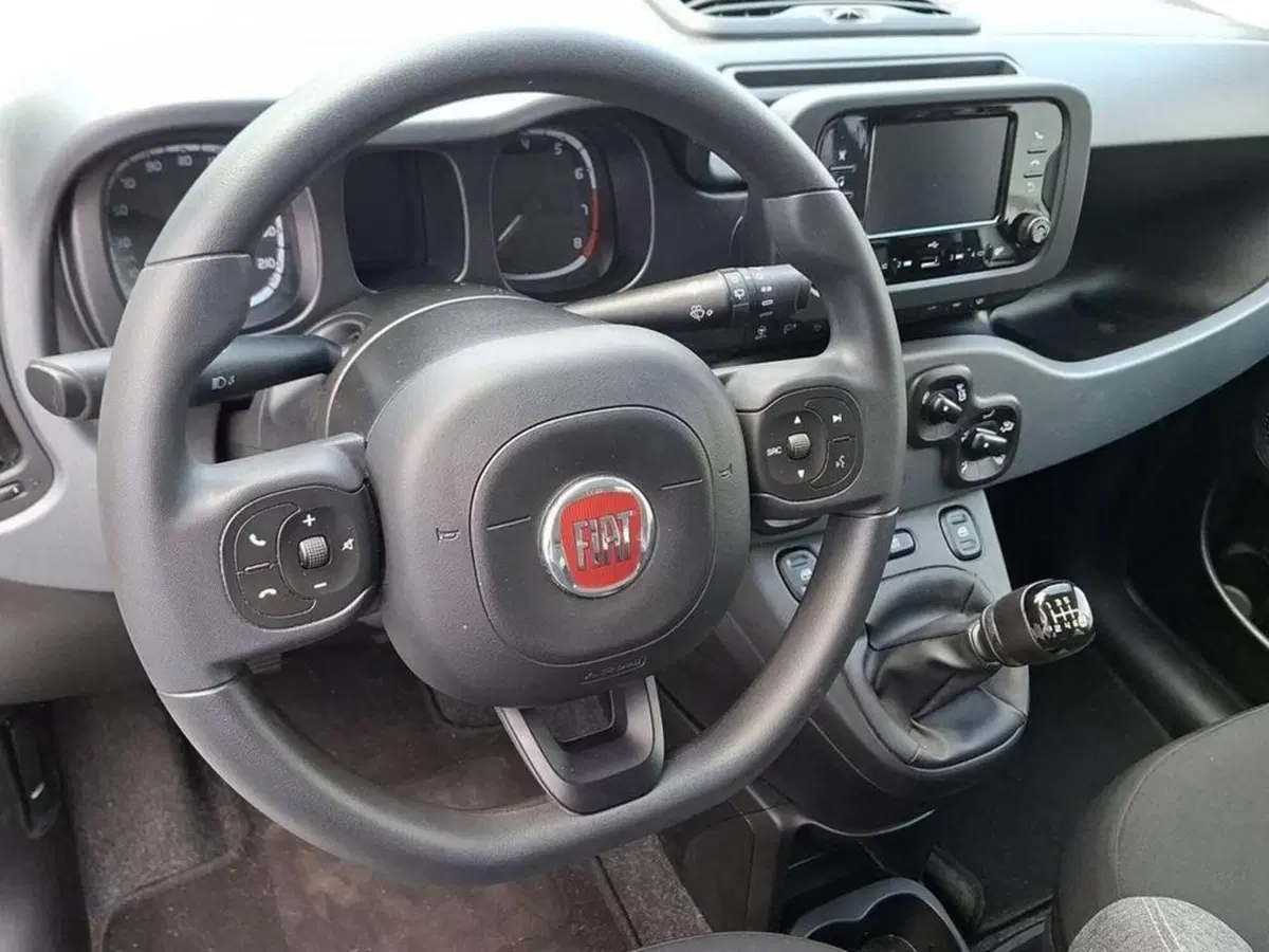 Fiat Panda Cross usata a Torino (10)