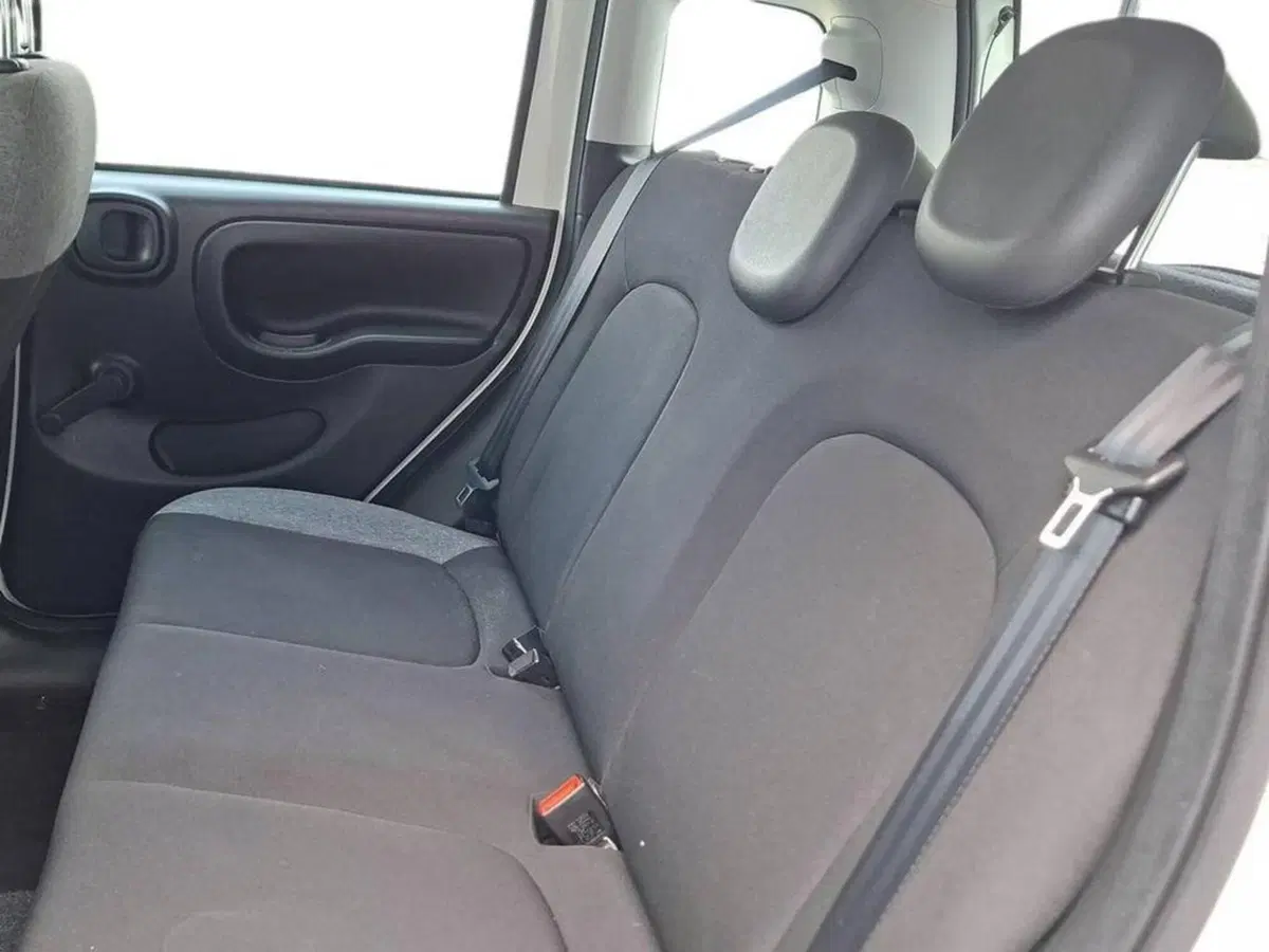 Fiat Panda Cross usata a Torino (11)