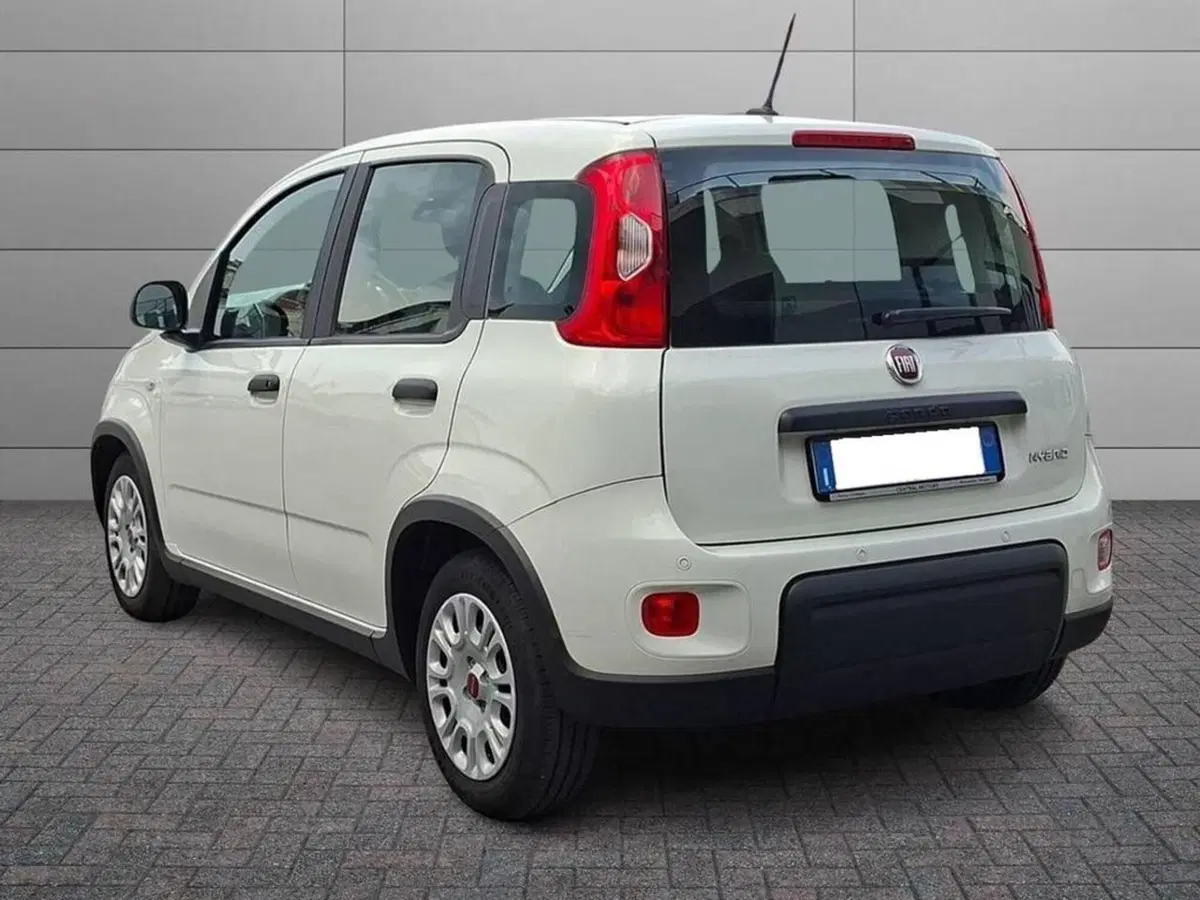 Fiat Panda Cross usata a Torino (2)
