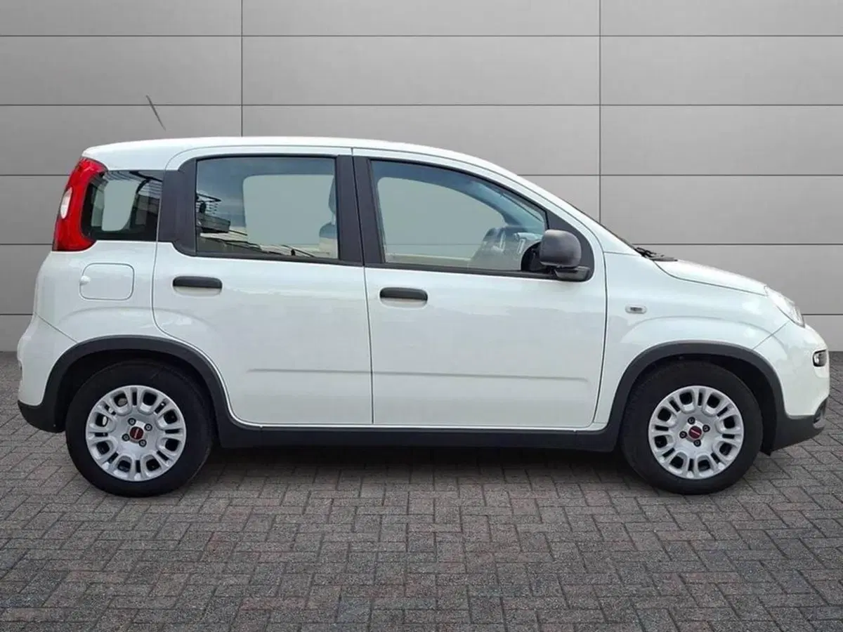 Fiat Panda Cross usata a Torino (3)