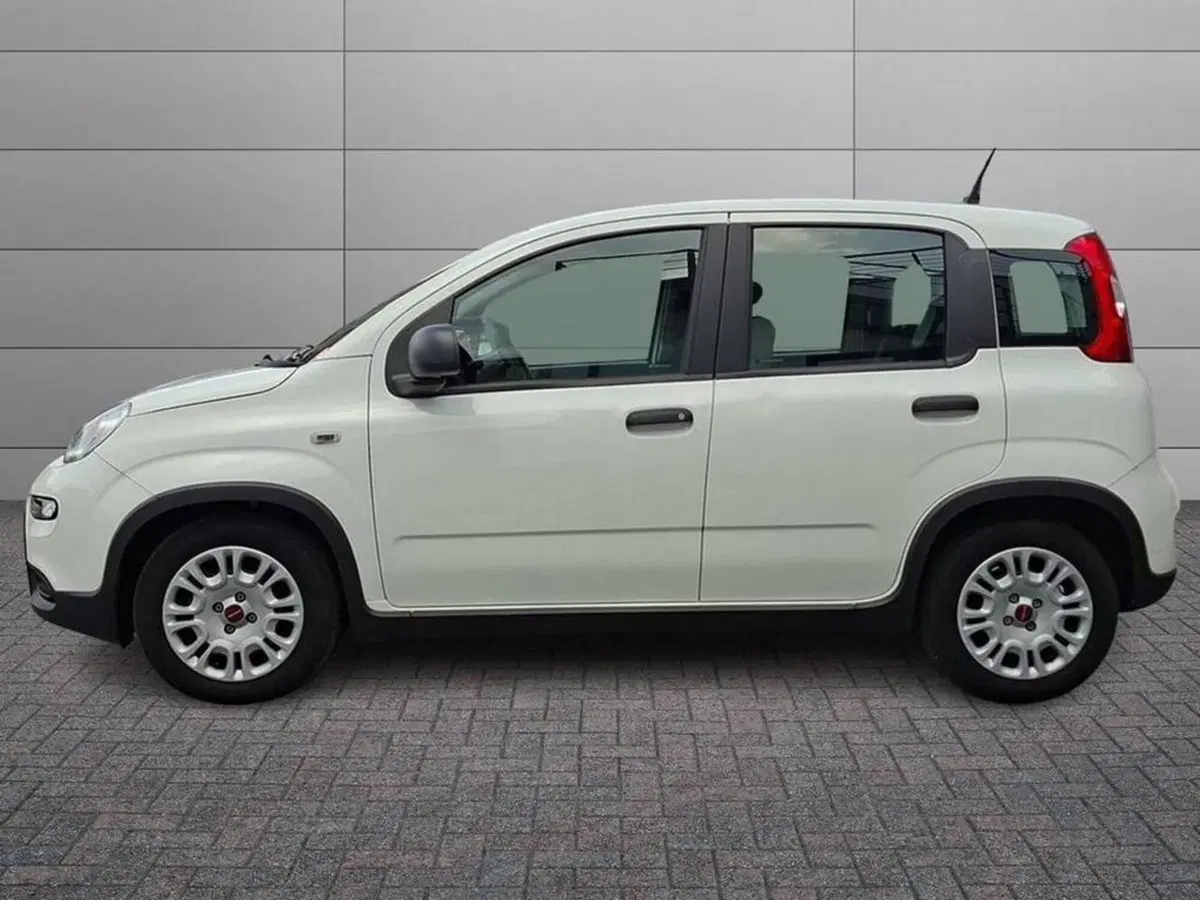 Fiat Panda Cross usata a Torino (4)