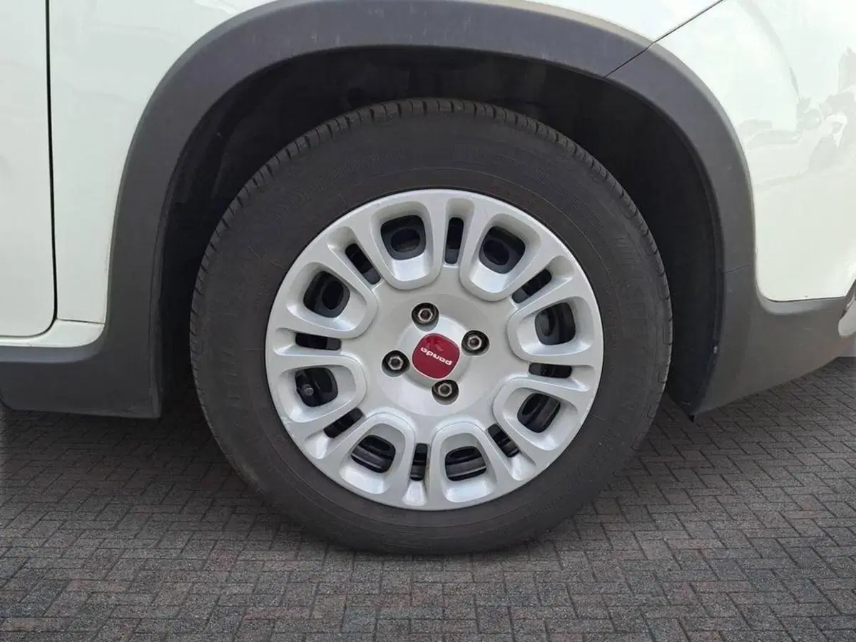 Fiat Panda Cross usata a Torino (5)
