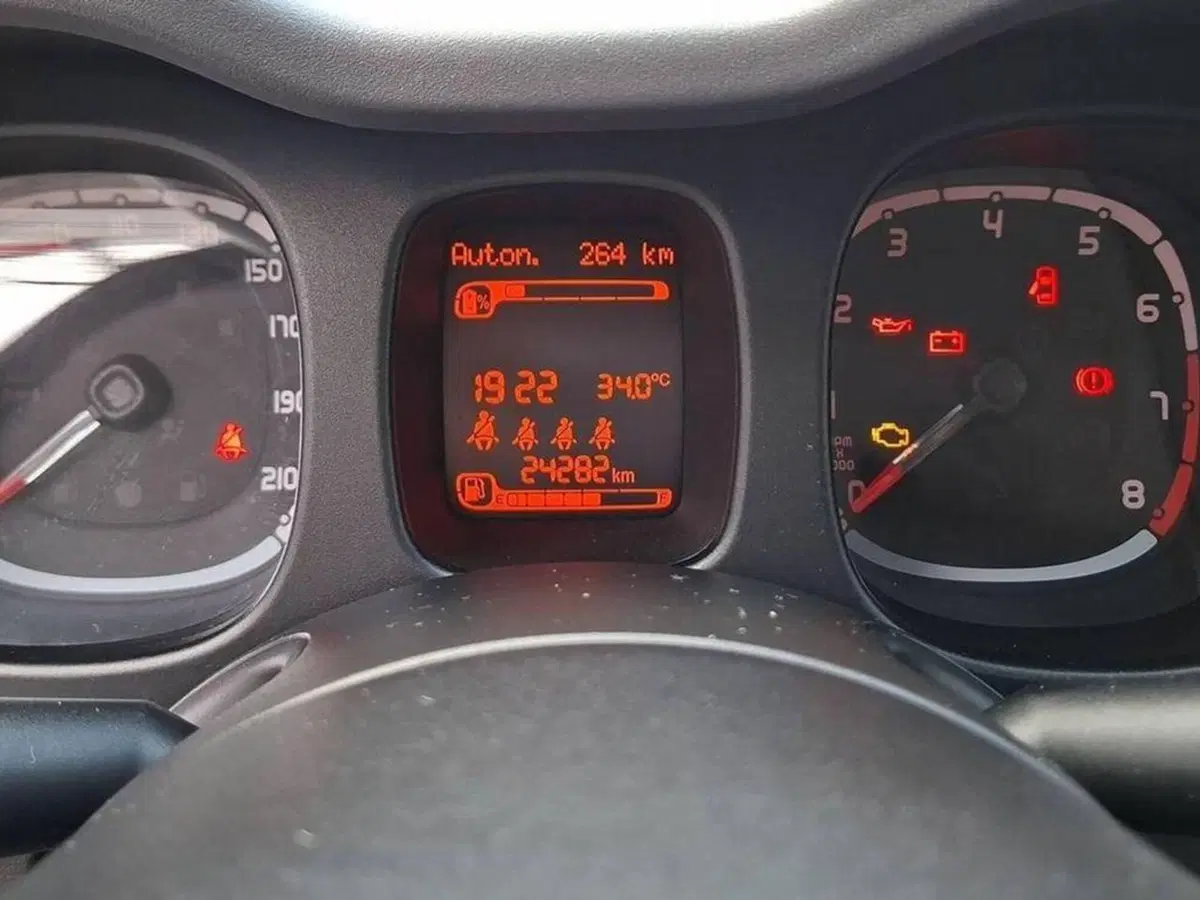Fiat Panda Cross usata a Torino (6)