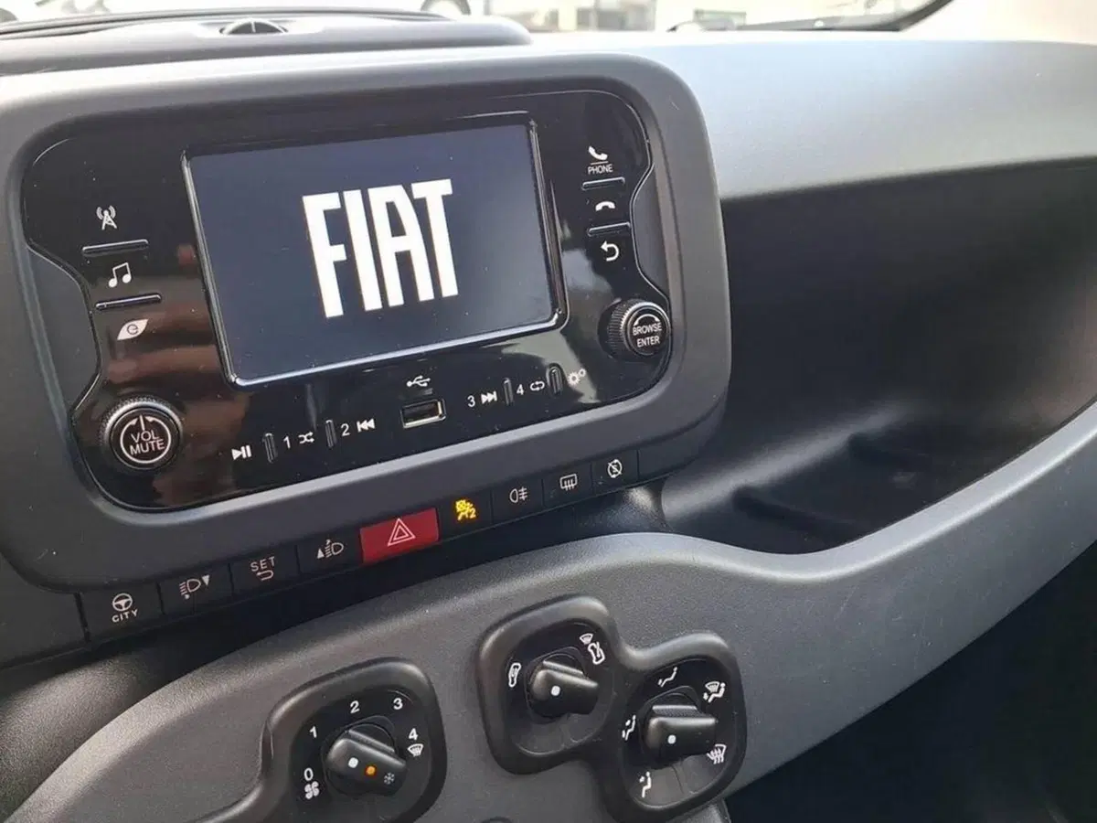 Fiat Panda Cross usata a Torino (7)