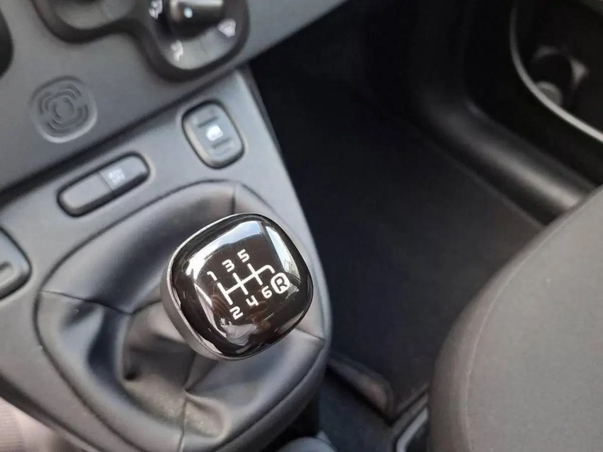 Fiat Panda Cross usata a Torino (8)