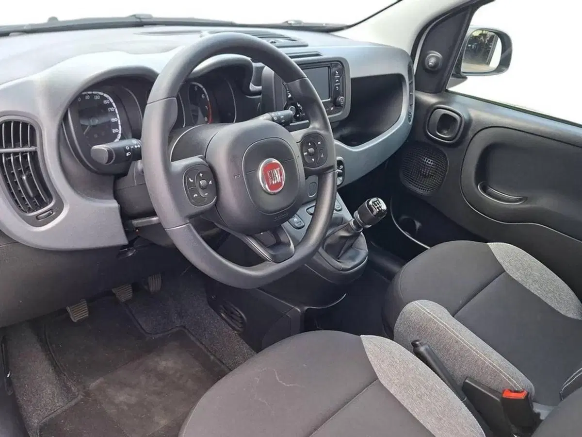 Fiat Panda Cross usata a Torino (9)