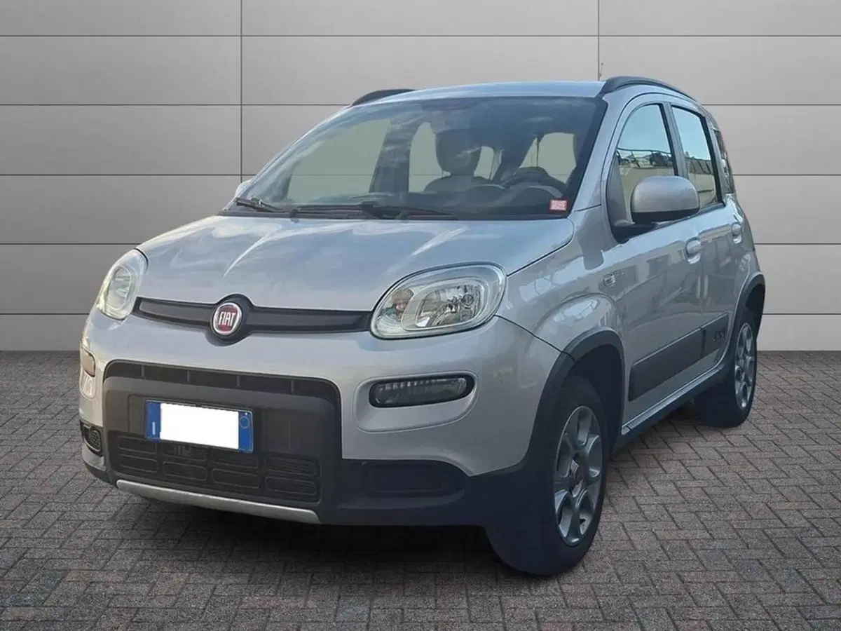 Fiat Panda usata a Torino