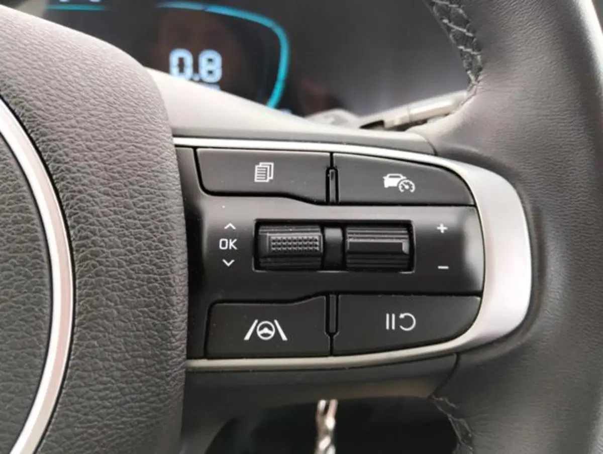 Kia Sportage usata a Como (11)
