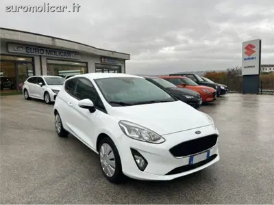 Ford Fiesta 1.5 TDCi 85 CV 3 porte  Trend del 2020 usata a Campodipietra