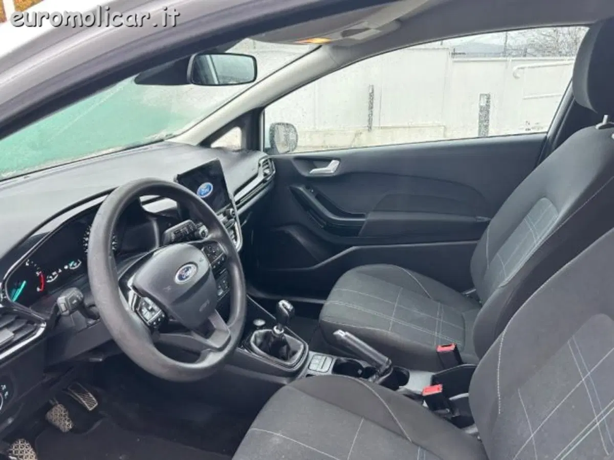 Ford Fiesta usata a Campobasso (4)