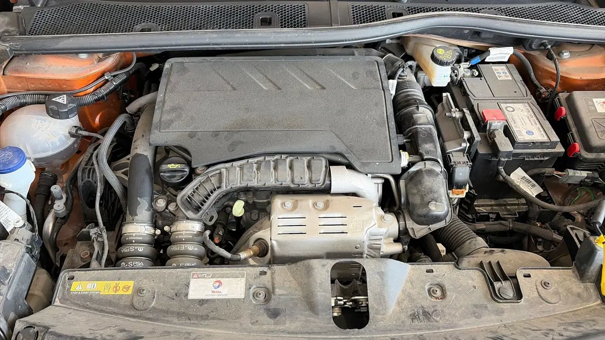 Peugeot 2008 usata a Viterbo (15)