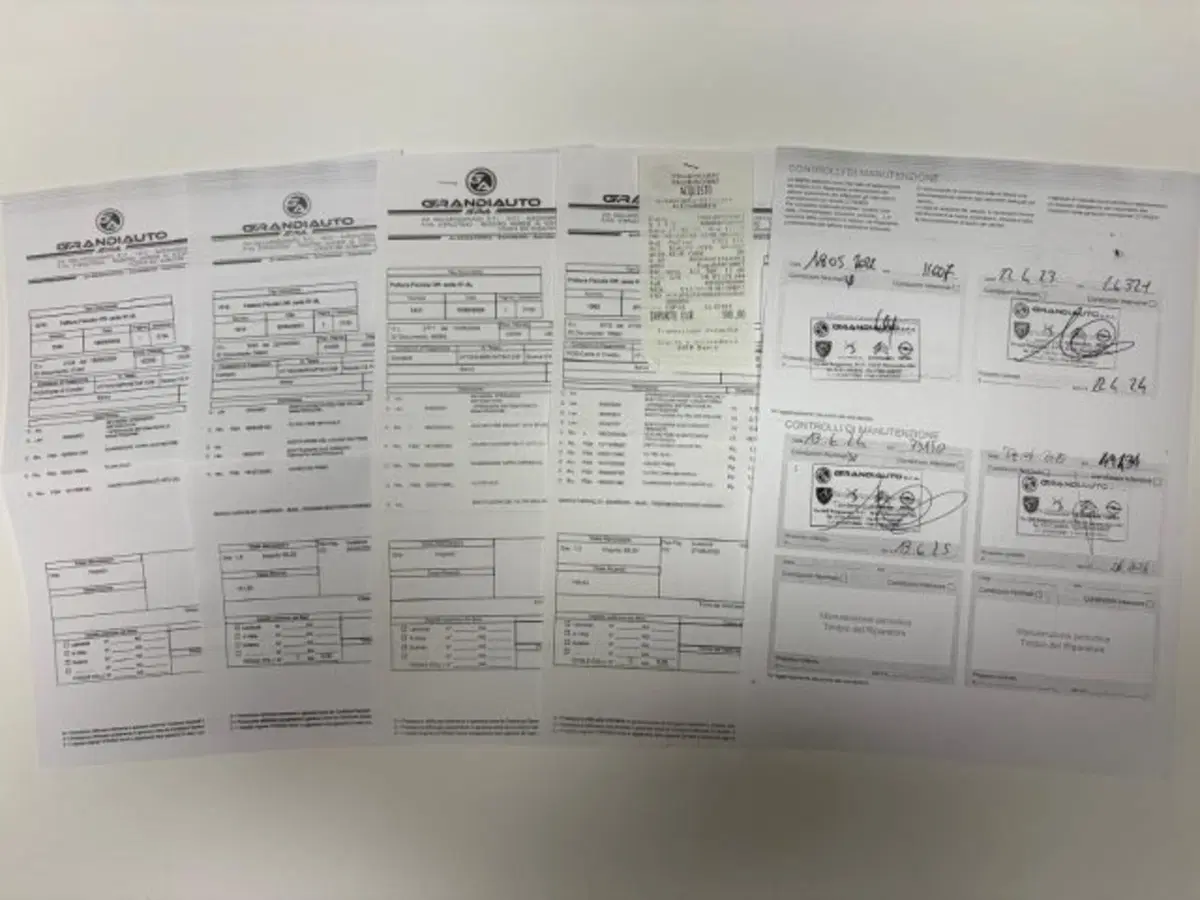 Citroen C3 usata a Cuneo (15)