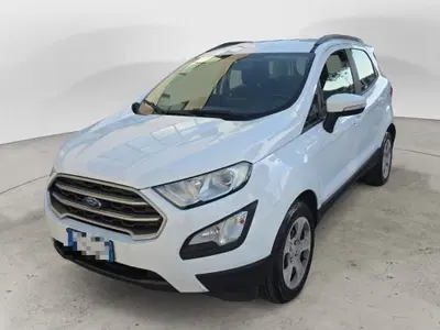 Ford EcoSport 1.0 EcoBoost 100 CV Business del 2019 usata a Recanati